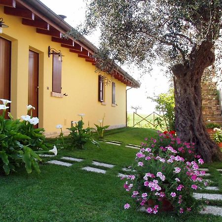 Agriturismo Tenuta Santa Maria Notaresco Екстериор снимка