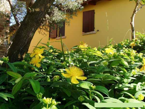 Agriturismo Tenuta Santa Maria Notaresco Екстериор снимка