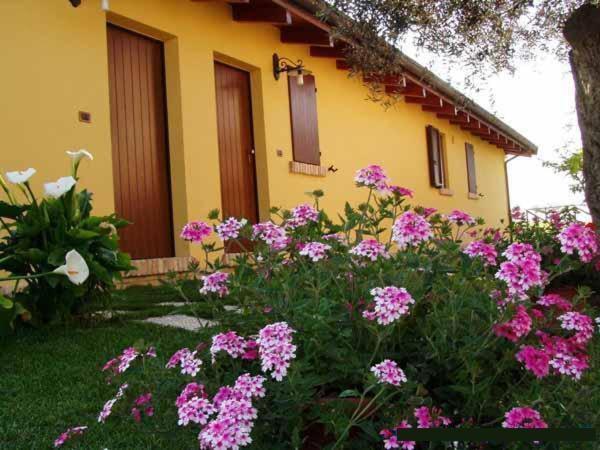 Agriturismo Tenuta Santa Maria Notaresco Екстериор снимка
