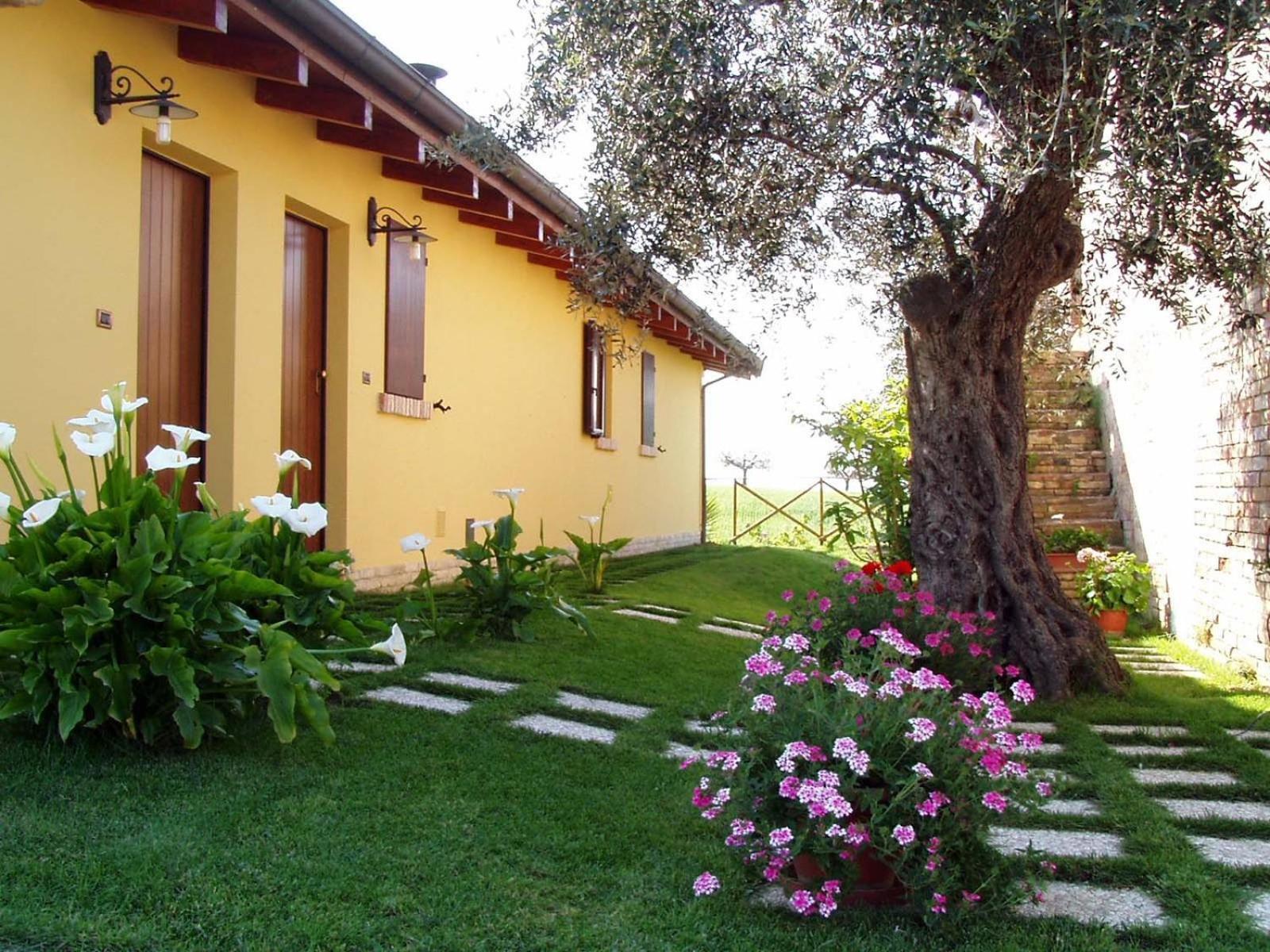 Agriturismo Tenuta Santa Maria Notaresco Екстериор снимка