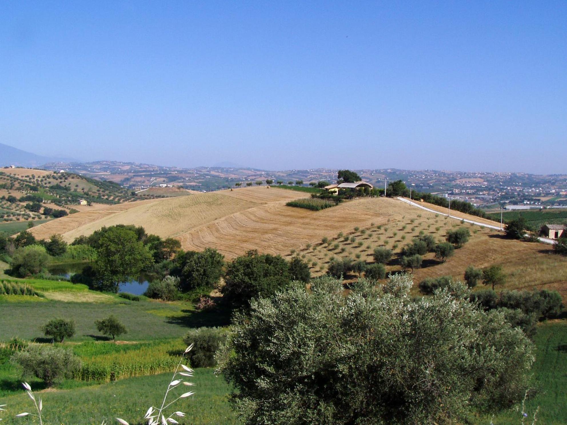 Agriturismo Tenuta Santa Maria Notaresco Екстериор снимка