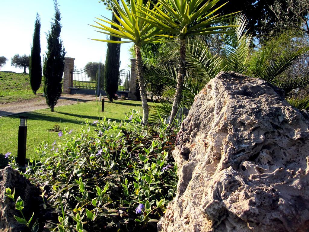 Agriturismo Tenuta Santa Maria Notaresco Екстериор снимка