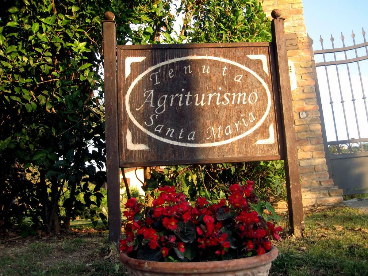 Agriturismo Tenuta Santa Maria Notaresco Екстериор снимка