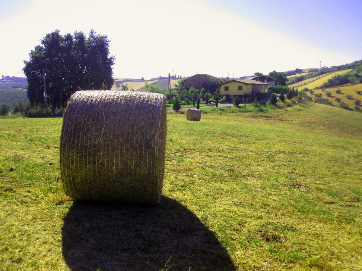 Agriturismo Tenuta Santa Maria Notaresco Екстериор снимка